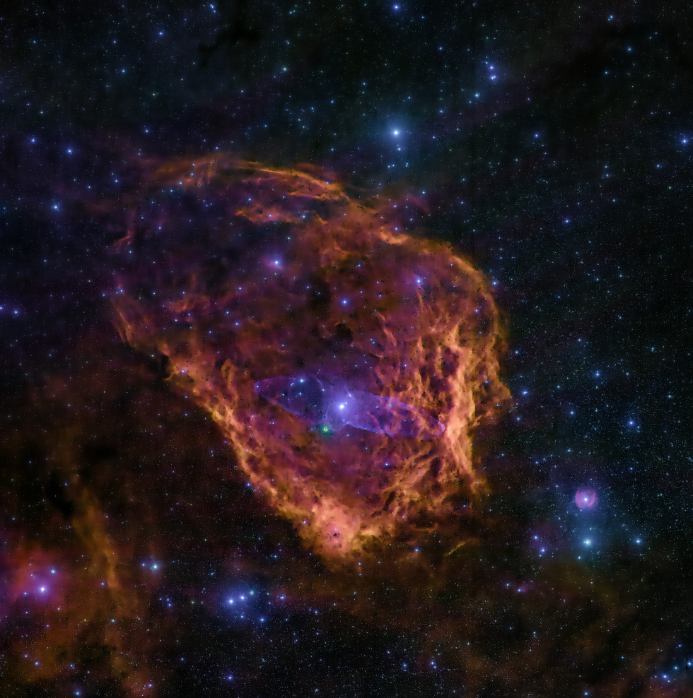 Flying Bat & Squid Nebula Telescope Live